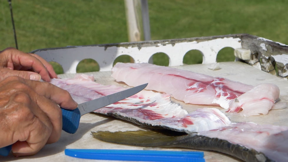 Cuda AquaTuff Fillet Knife with Blade Cover, Blue, 6in, 23045