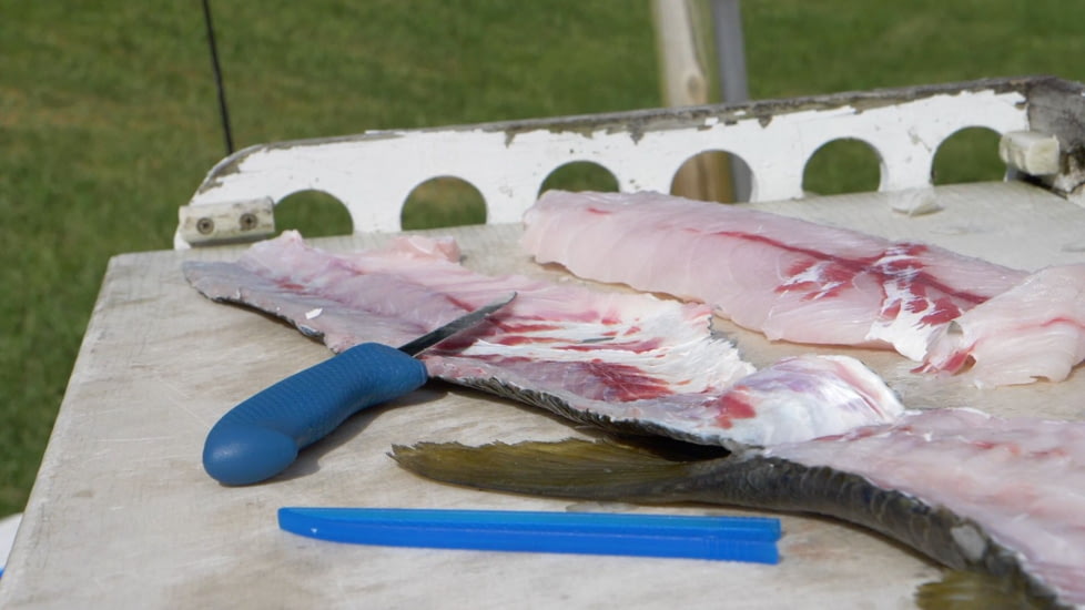 Cuda AquaTuff Fillet Knife with Blade Cover, Blue, 6in, 23045