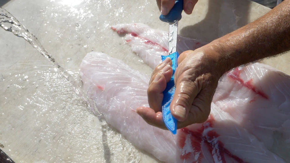 Cuda AquaTuff Fillet Knife with Blade Cover, Blue, 6in, 23045