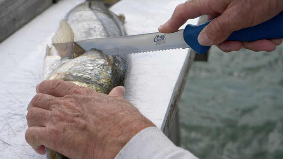 Cuda AquaTuff Serrated Utility Knife with Blade Cover, Blue, 9in, 23048