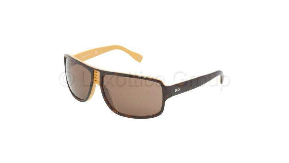 D&amp;G DD3045 Sunglasses 938/73-6313 - Havana On Yellow Brown