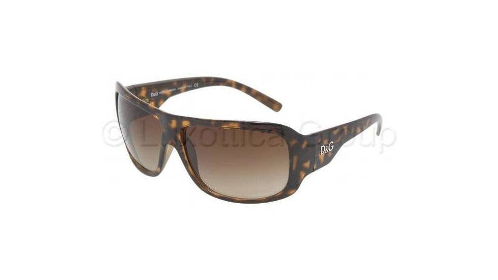 D&amp;G DD8061 Sunglasses 502/13-6413 - Havana Brown Gradient
