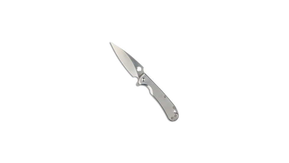 Daggerr Knives Daggerr Knives Zhalo Frame Lock Flipper Knife Brushed Steel 3.9" Satin, Silver, D2, adult, BHQ-218804