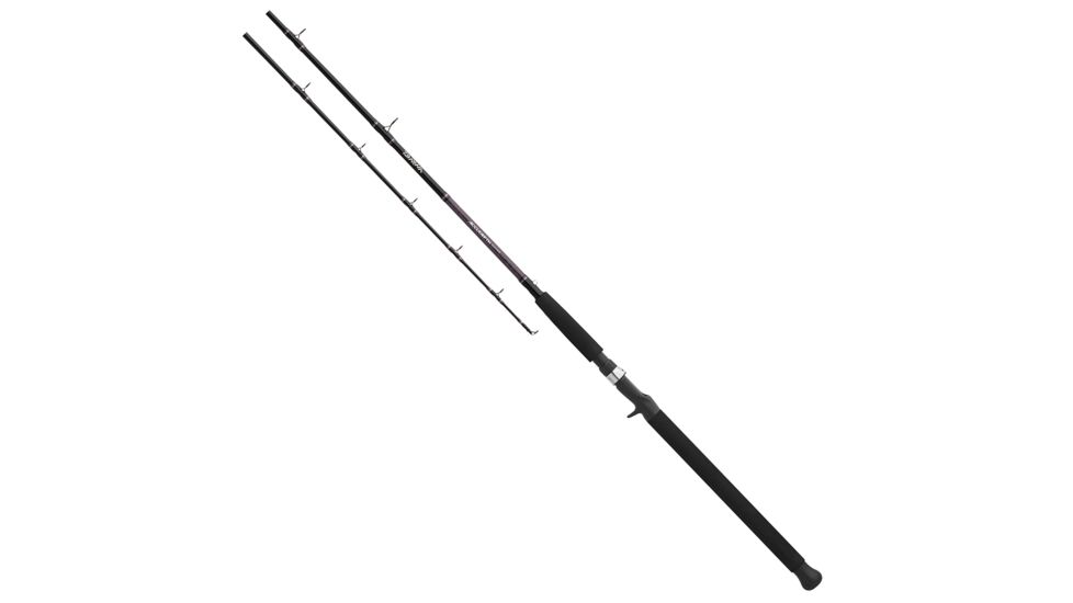 Daiwa Accudepth Trolling 1pc LnWt 20-40 ACDLC601HRB
