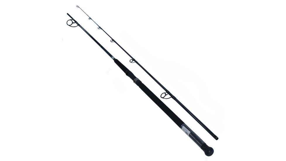Daiwa Emcast Surf 2pc LnWt 12-20 ECA802MFS
