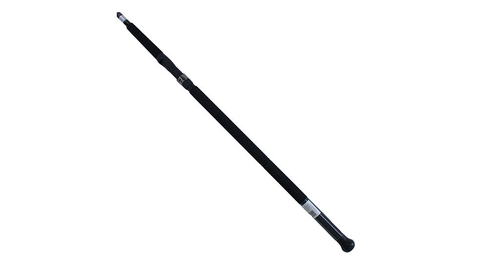 Daiwa Emcast Surf 2pc LnWt 12-20 ECA802MFS