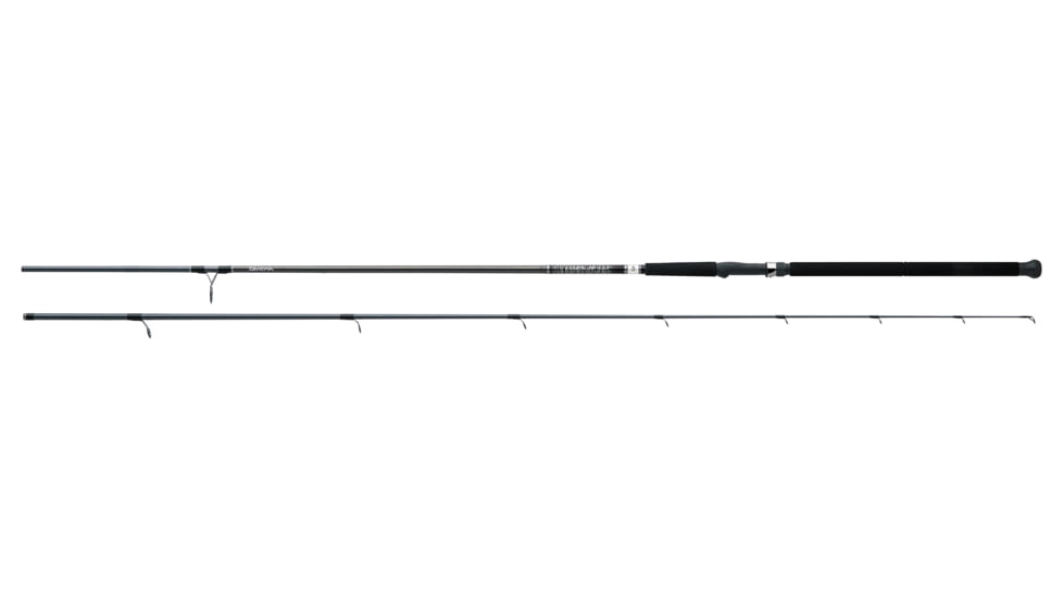 Daiwa Emcast Surf Casting Rod, 10ft, Medium Heavy, Fast, 2 Pieces, EMCST1002MHFB