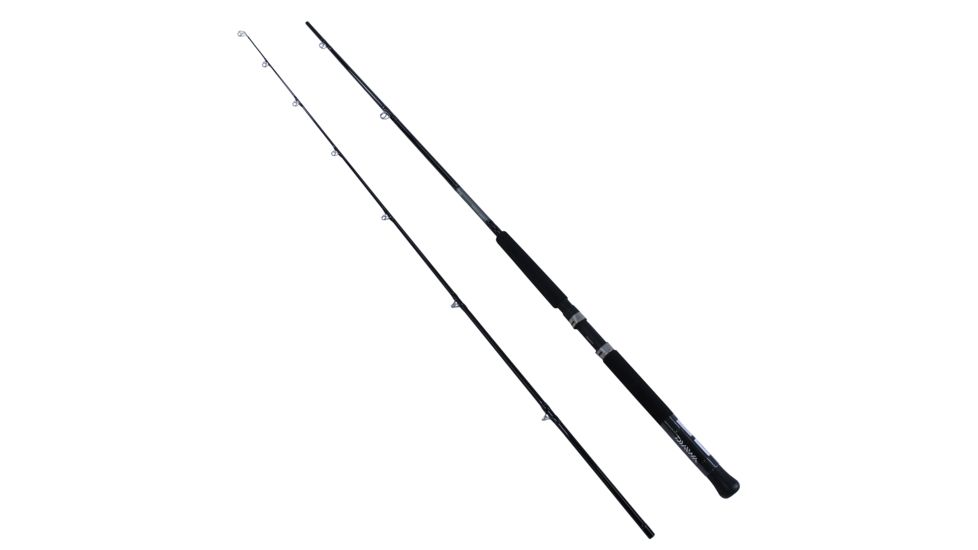 Daiwa Great Lake 2pc LnWt 12-27 GL902MHF-LC