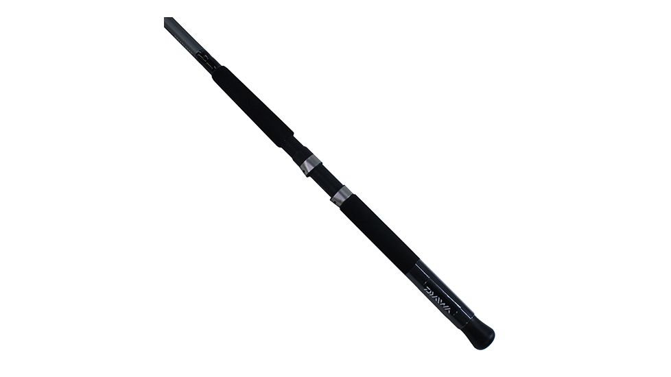 Daiwa Great Lake 2pc LnWt 12-30 GL1202MHF