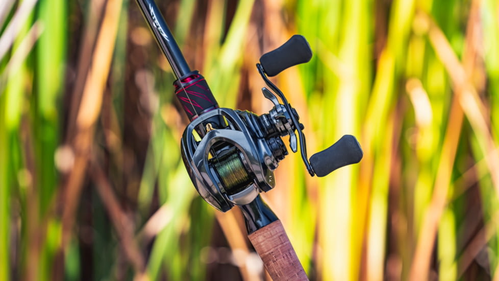 Daiwa Steez CT SV Baitcast Reel, 8.1-1, 12+1, Left, STZCTSV70XHL