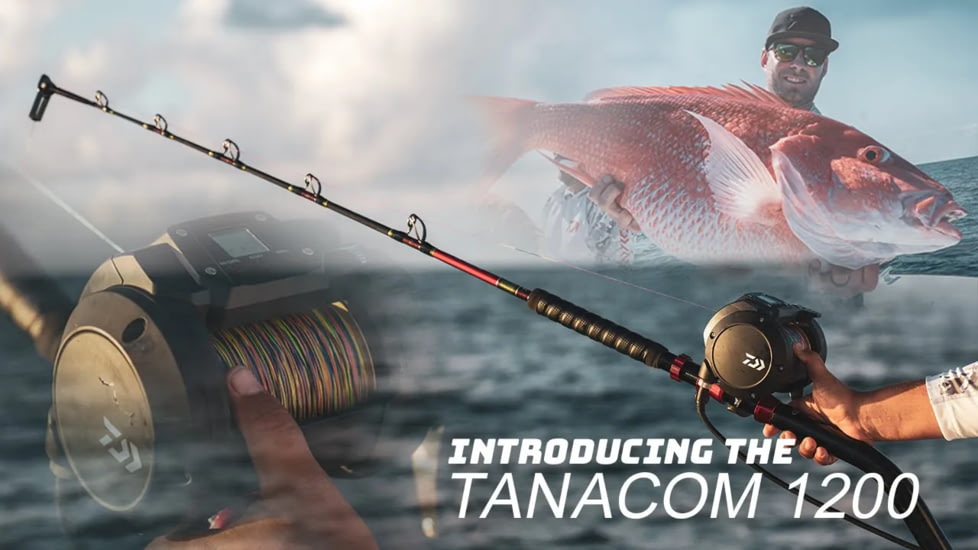 Daiwa Tanacom 1200 Dendoh Reel, 2.1-1, 4BB, TANACOM1200