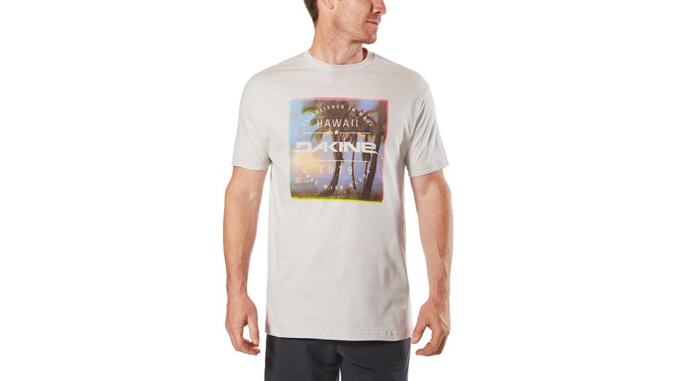 Dakine Postcard Palms T Shirt, SILVER GREY, S, 10001879-SILVEE