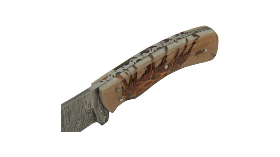 Damascus Pine Ranch Hunter