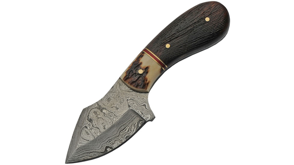 Damascus Skinner Damascus Stag Knife, 2.75 Damascus steel blade, Jigged wood and stag handle with red pakkawood acc, DM-1229
