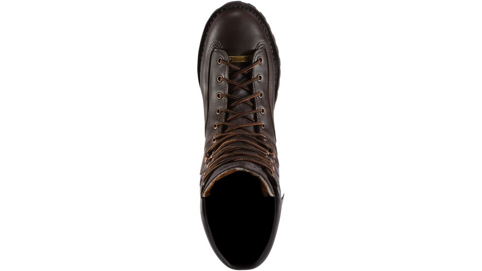 Danner Trophy 10in Insulated 600G Tactical Boot - Mens, Brown, 12 US, Medium, 40000-12D