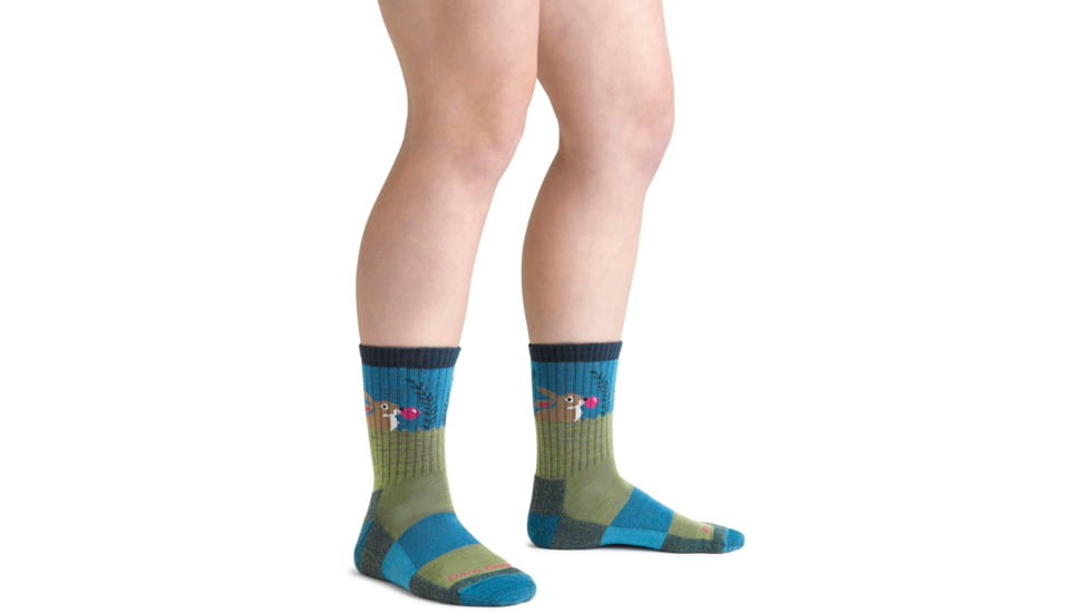 Darn Tough Bubble Bunny Jr. Micro Crew Lightweight Sock - Kids, Willow, Medium, 3032-WILLOW-M-DARN