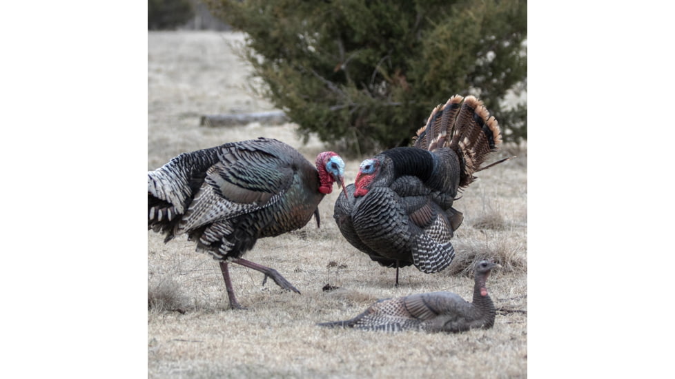 Dave Smith Decoys Jake Strutter Decoy