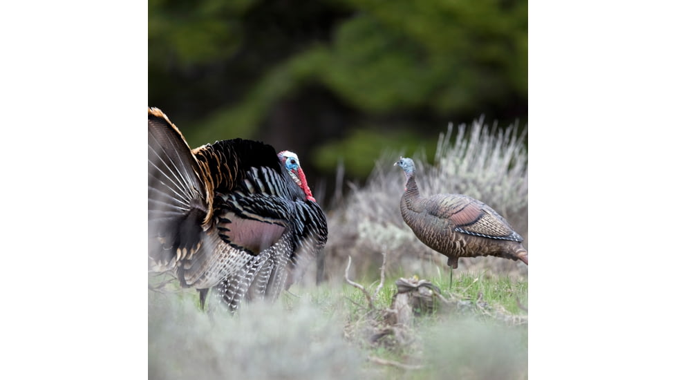 Dave Smith Decoys Upright Hen Decoy