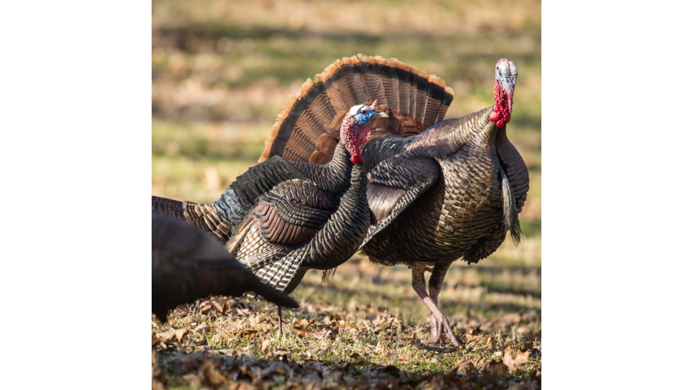 Dave Smith Decoys Decoys Posturing Jake Decoy
