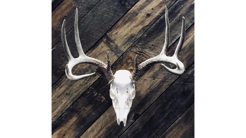 Dead Deer Euro Hanger Mount, Black, Mid Sized Big Gam DDEH7