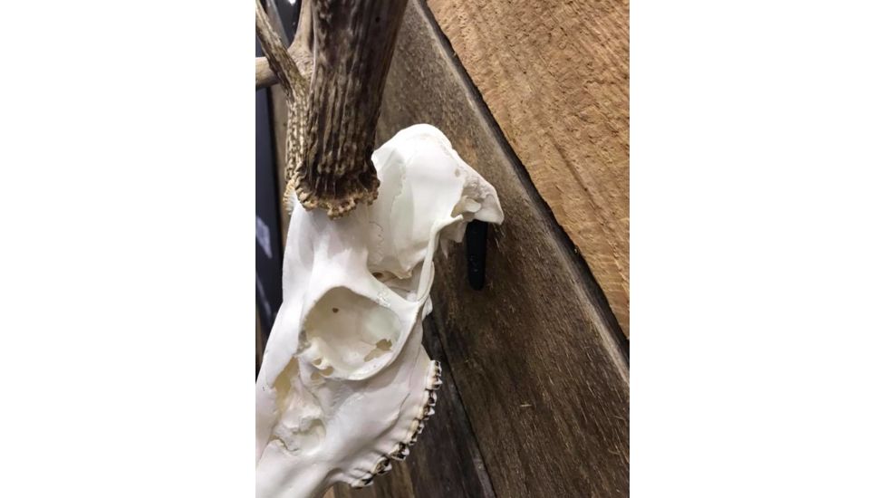 Dead Deer Euro Hanger Mount, Black, Mid Sized Big Gam DDEH7