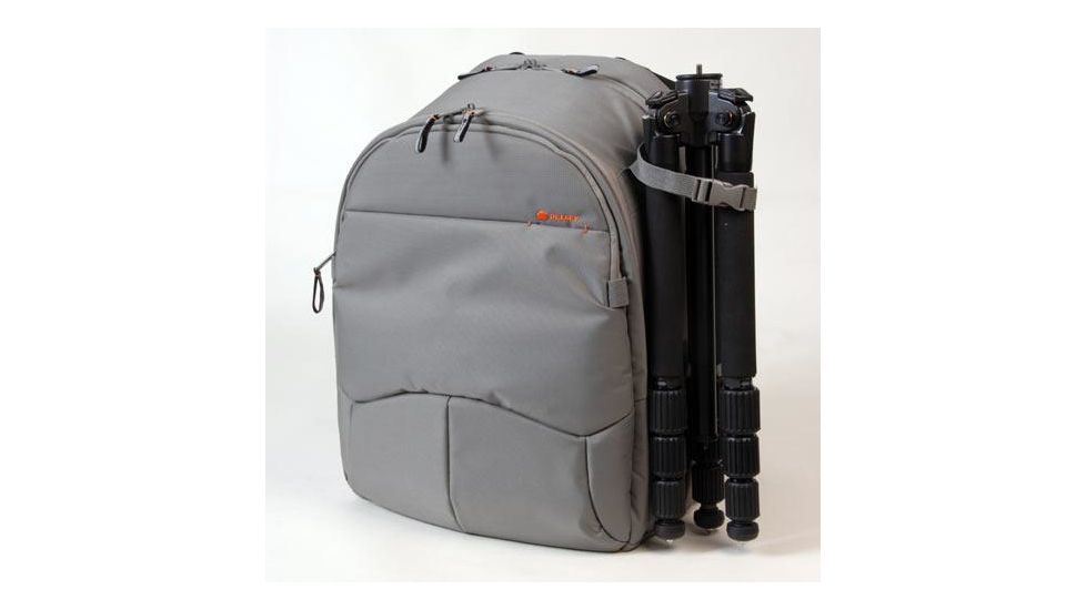 Delsey ODC51 Digital Camera DSLR Back-pack