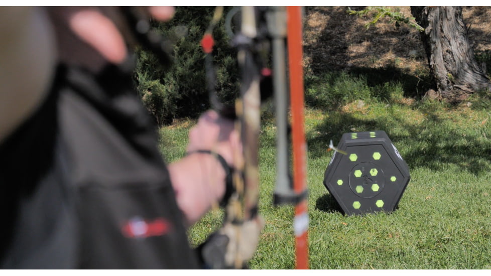 Delta McKenzie Big 8 XL Target, Black, 21200