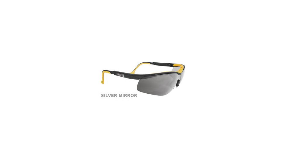 DeWALT Dual Comfort Protective Glasses DPG55