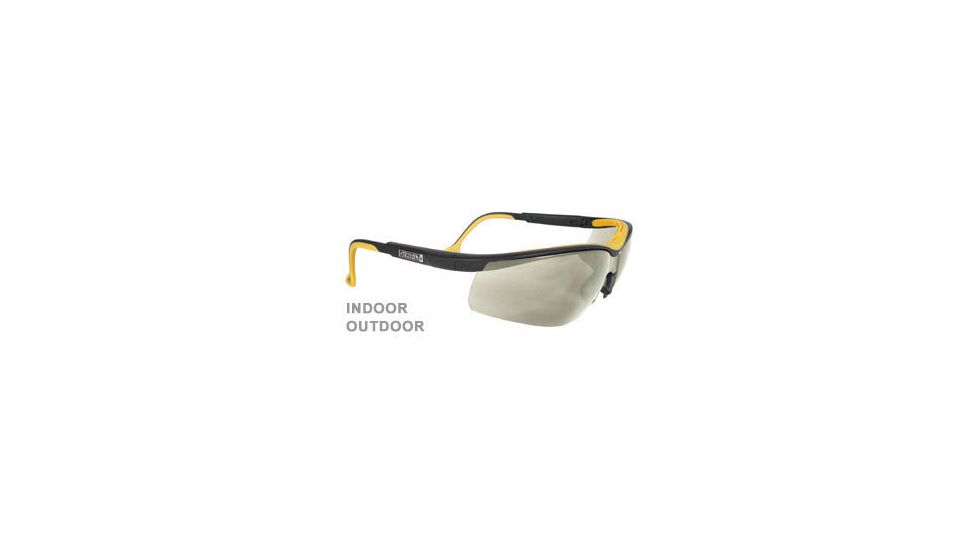 DeWALT Dual Comfort Protective Glasses DPG55