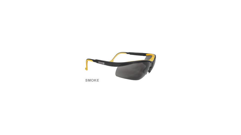 DeWALT Dual Comfort Protective Glasses DPG55