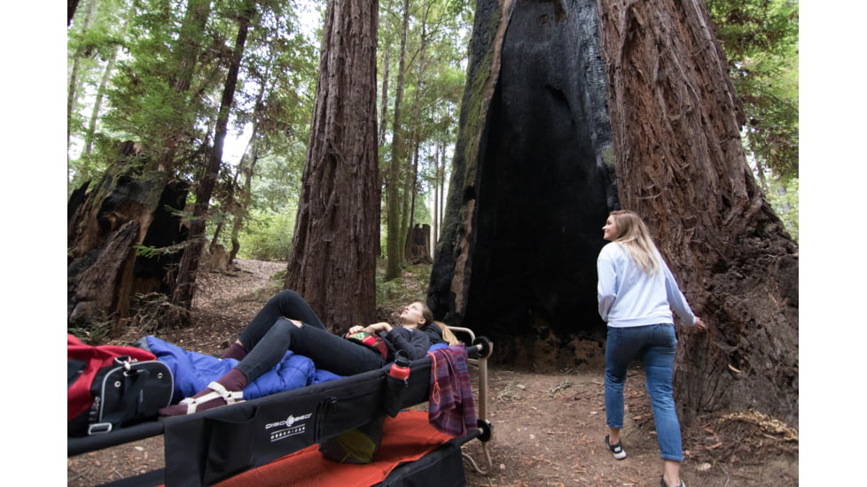 Disc-O-Bed Cot with 2 Side Organizers, Black, Large, 30501BO