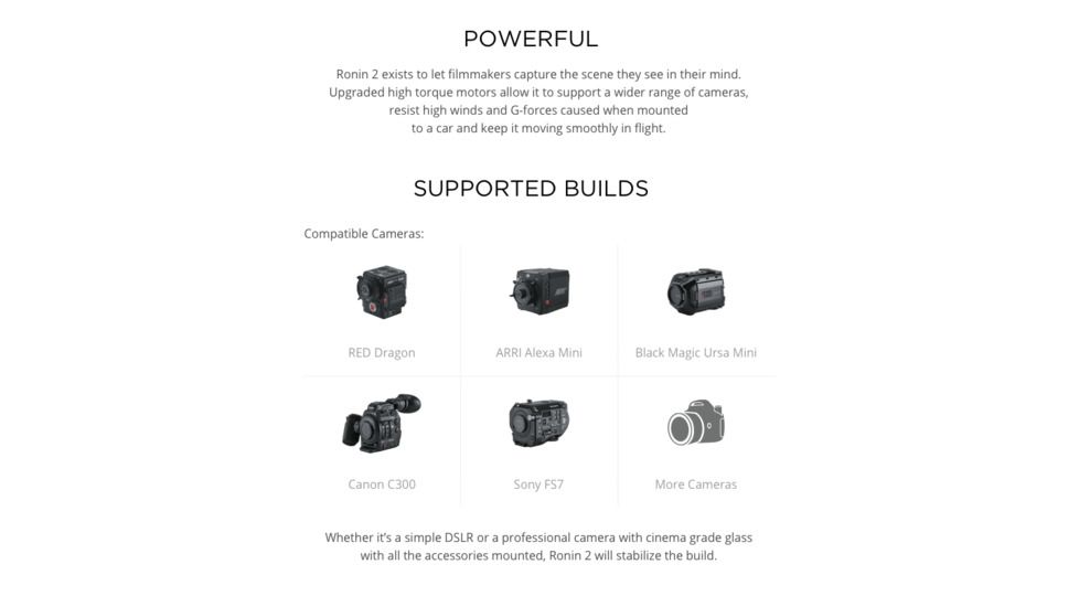 DJI Innovations Ronin 2 Professional Combo, Black, CP.ZM.00000008.01