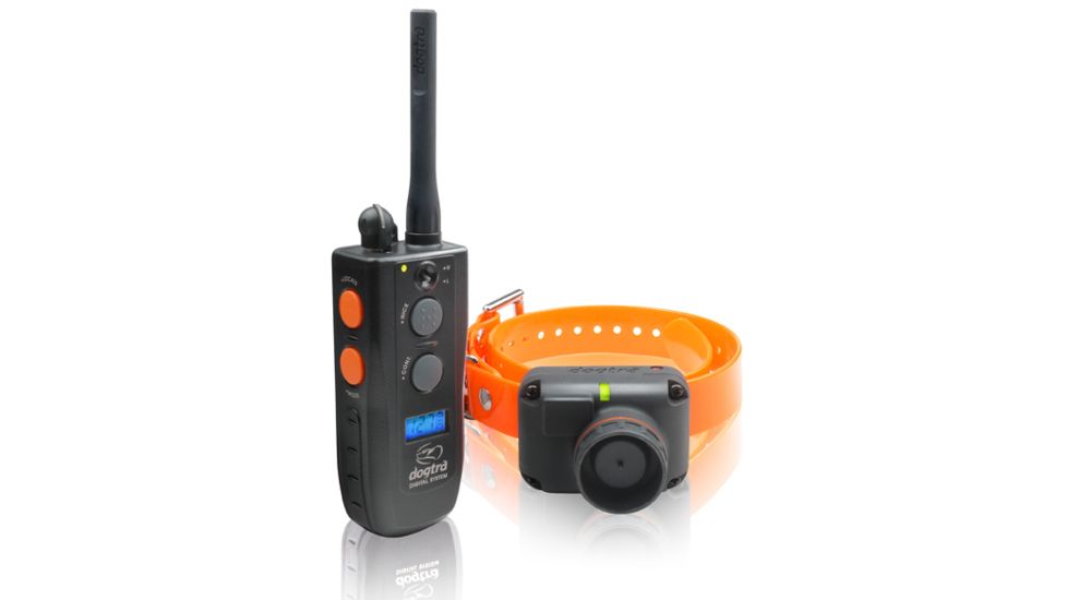 Dogtra 2500T&amp;B Training Collar, Orange, 2500T&amp;B