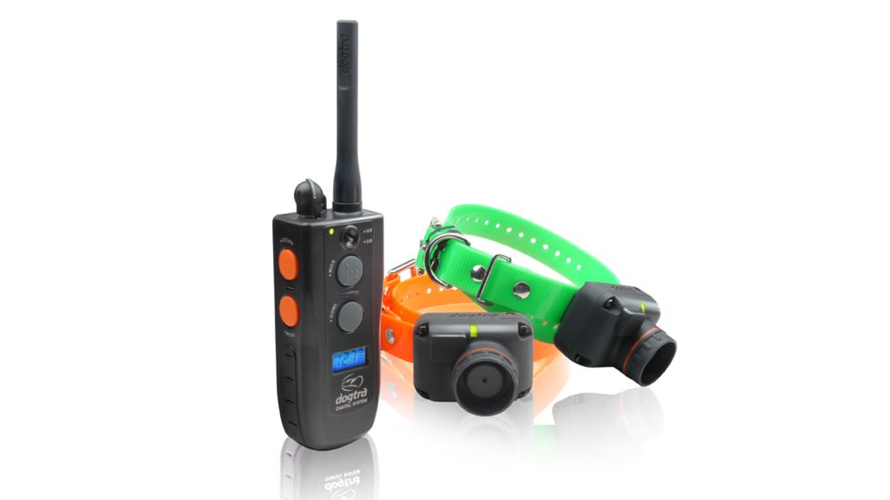 Dogtra 2502T&amp;B Training Collars, Orange/Green, 2502T&amp;B