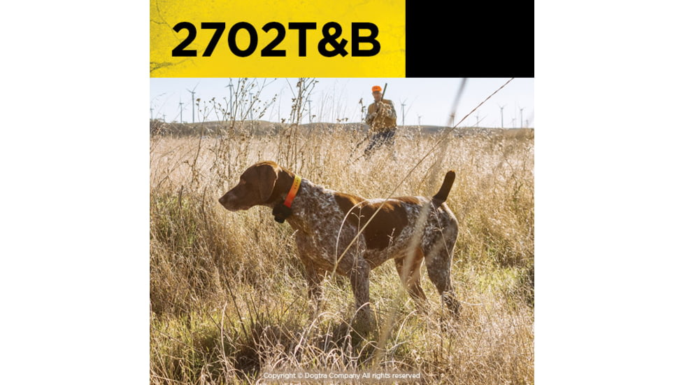 Dogtra 2702T&amp;B, Orange, 2702T&amp;B