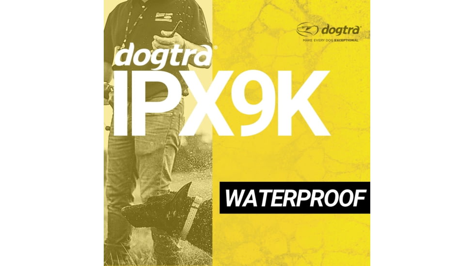 Dogtra 2702T&amp;B, Orange, 2702T&amp;B