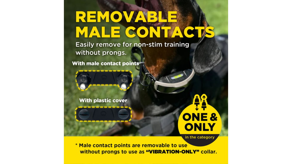 Dogtra 1900X Remote Collar 1-Dog Unit