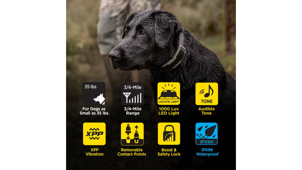 Dogtra 1900X Remote Collar 1-Dog Unit