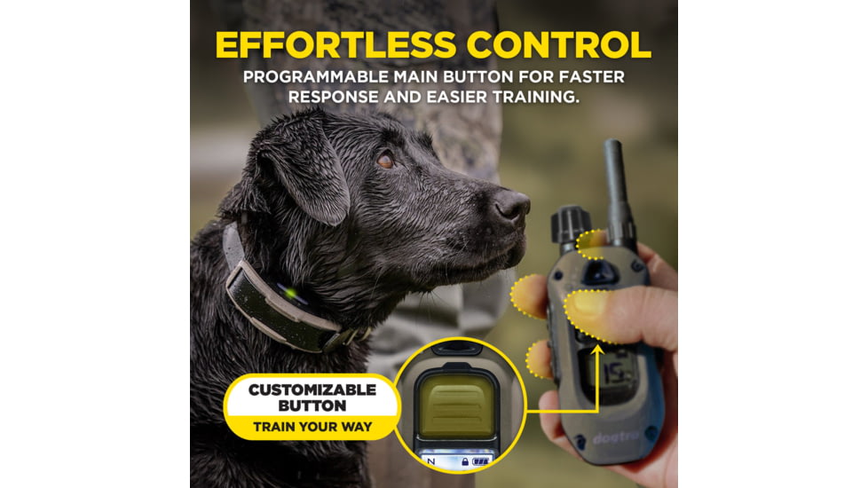 Dogtra 1900X Remote Collar 1-Dog Unit