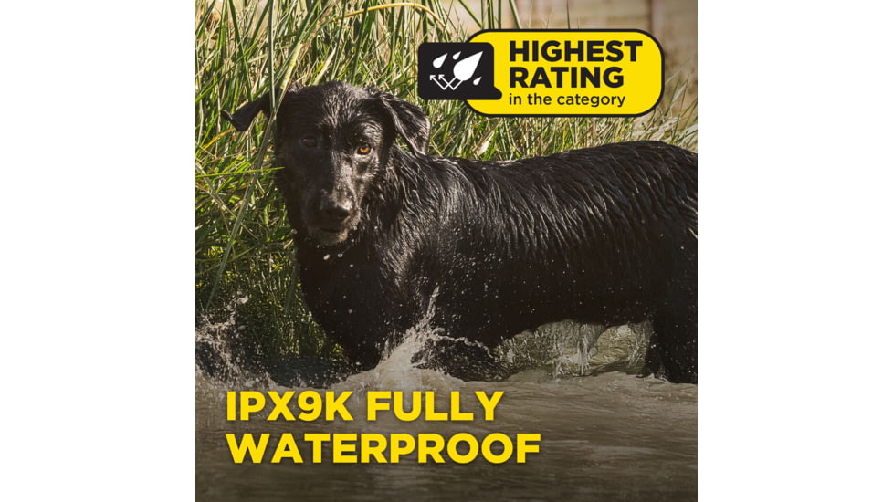 Dogtra 1900X Remote Collar 1-Dog Unit