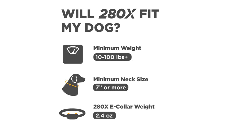 Dogtra 280X Remote Collar 1-Dog Unit