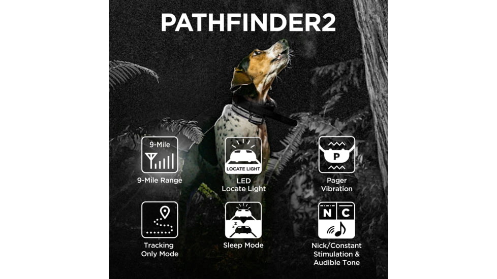 Dogtra Pathfinder2 Additional Receiver