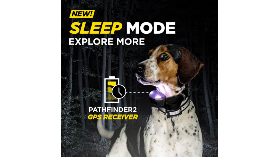 Dogtra Pathfinder2 Additional Receiver