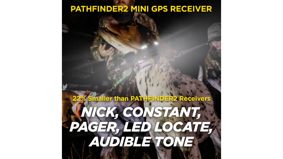 Dogtra Pathfinder2 Mini Additional Receiver