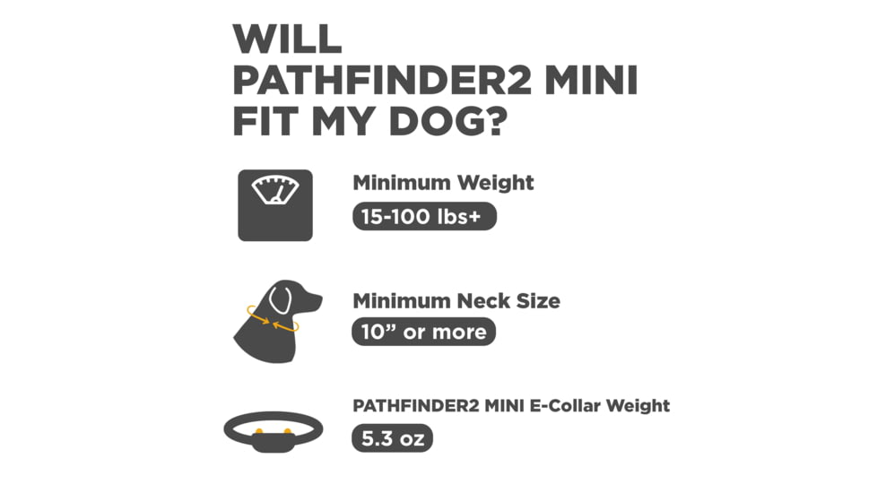 Dogtra Pathfinder2 Mini Wireless Collar