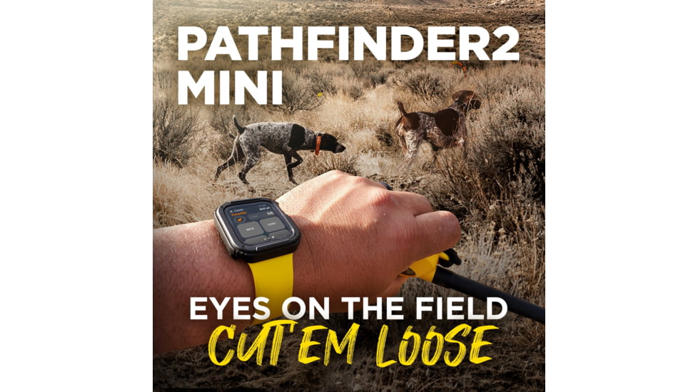 Dogtra Pathfinder2 Mini Wireless Collar