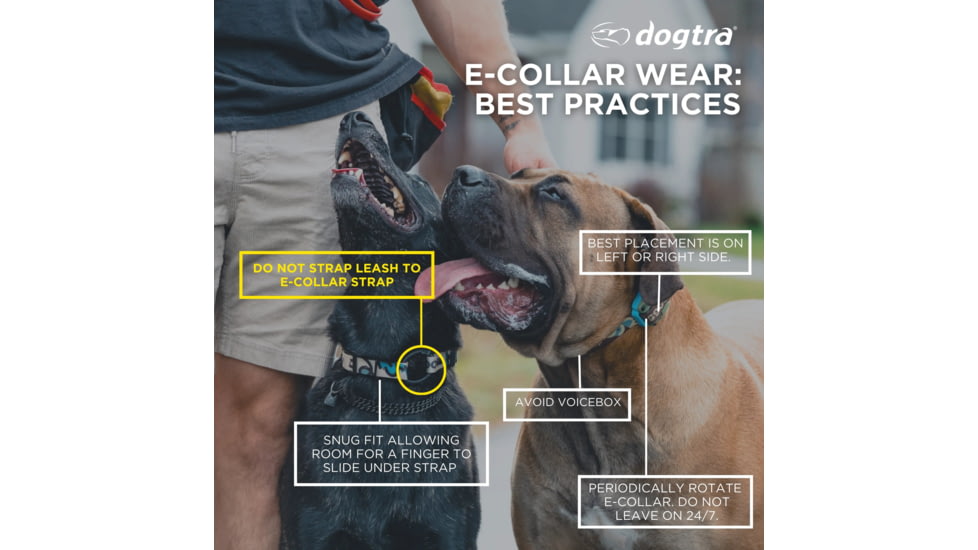 Dogtra Pathfinder2 Mini Wireless Collar
