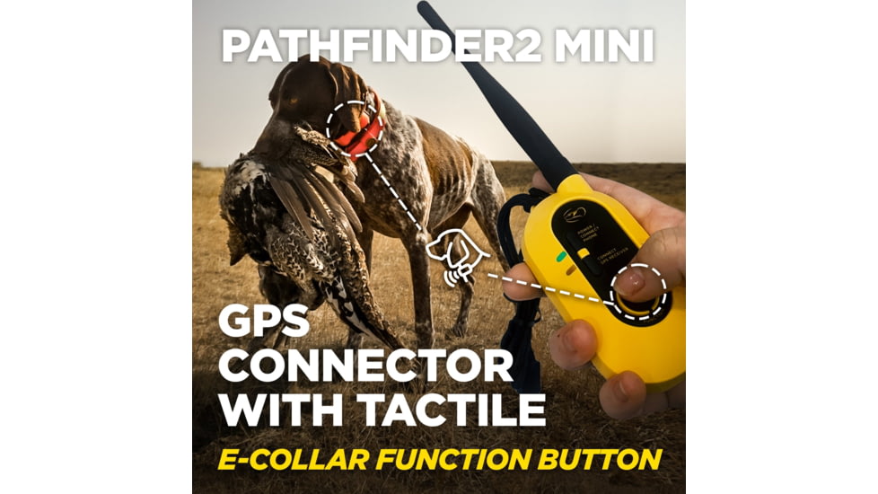 Dogtra Pathfinder2 Mini Wireless Collar