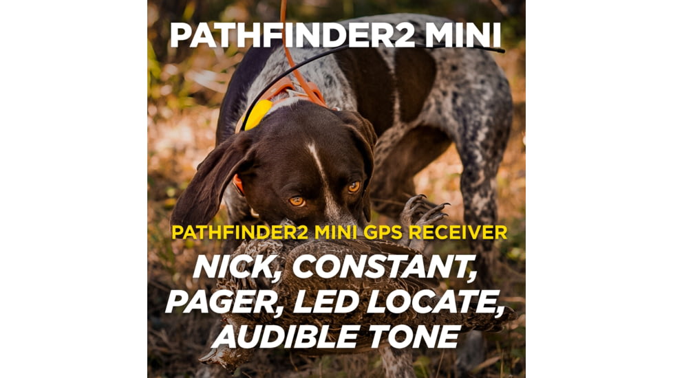 Dogtra Pathfinder2 Mini Wireless Collar