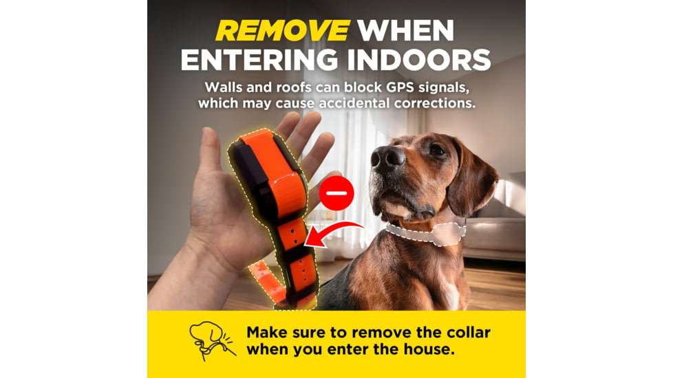 Dogtra Pathfinder2 Mini Wireless Collar